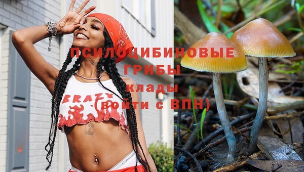 дмт Покачи