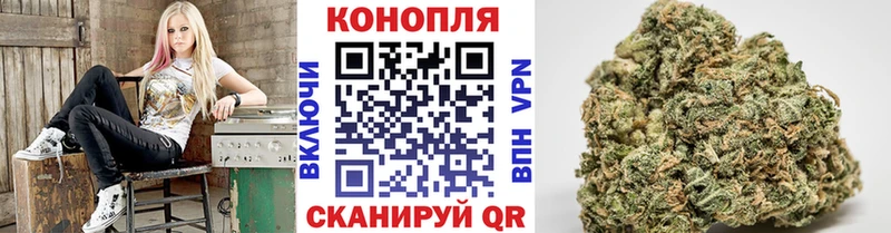 Бошки марихуана THC 21%  Белгород 